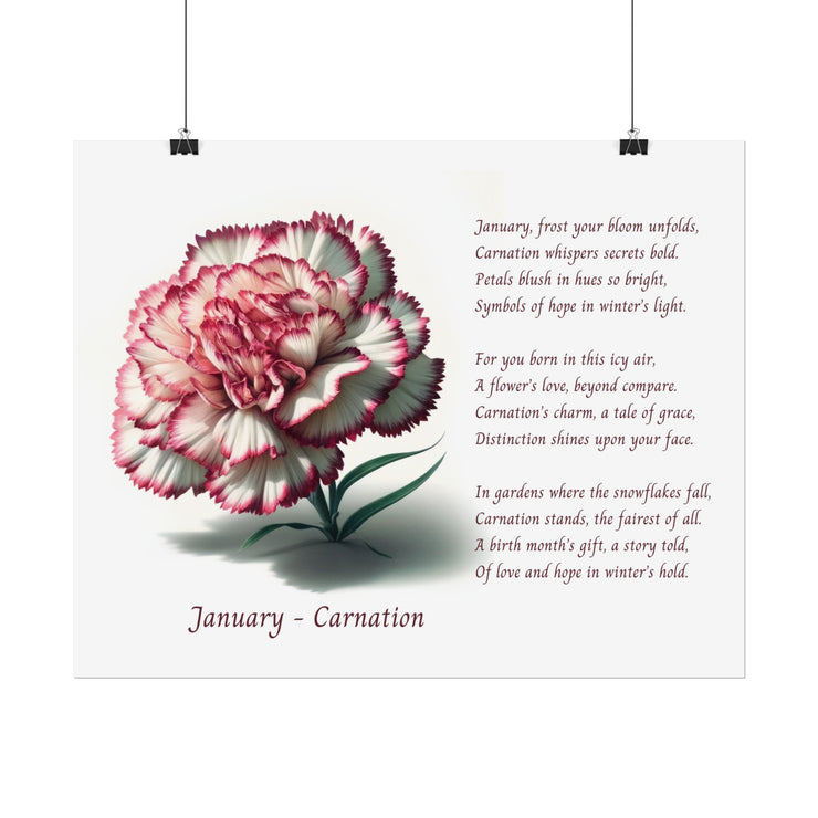 " January Carnation Canvas " A Floral Celebration with Poem.