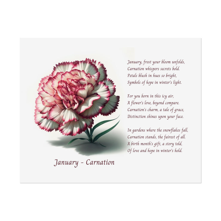 " January Carnation Canvas " A Floral Celebration with Poem.