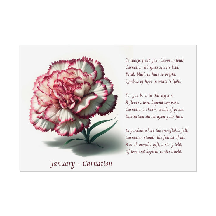 " January Carnation Canvas " A Floral Celebration with Poem.