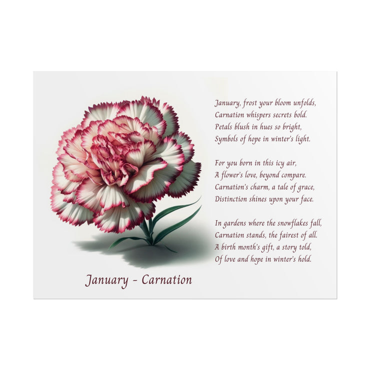 " January Carnation Canvas " A Floral Celebration with Poem.