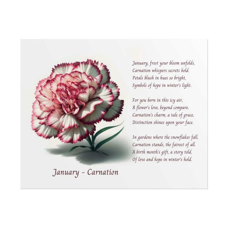 " January Carnation Canvas " A Floral Celebration with Poem.