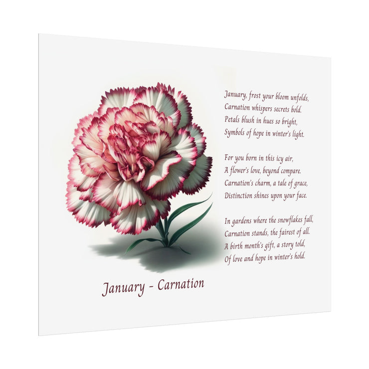 " January Carnation Canvas " A Floral Celebration with Poem.