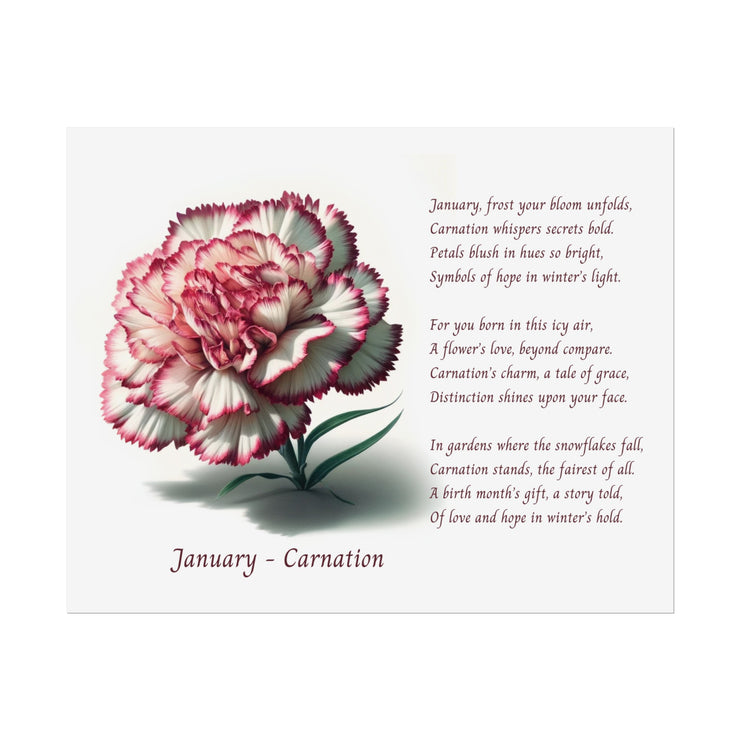 " January Carnation Canvas " A Floral Celebration with Poem.