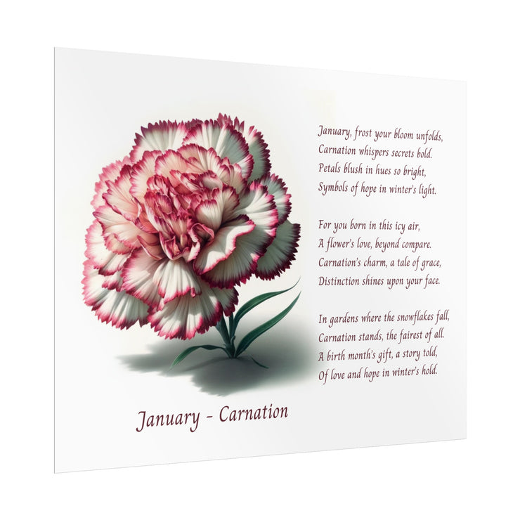 " January Carnation Canvas " A Floral Celebration with Poem.