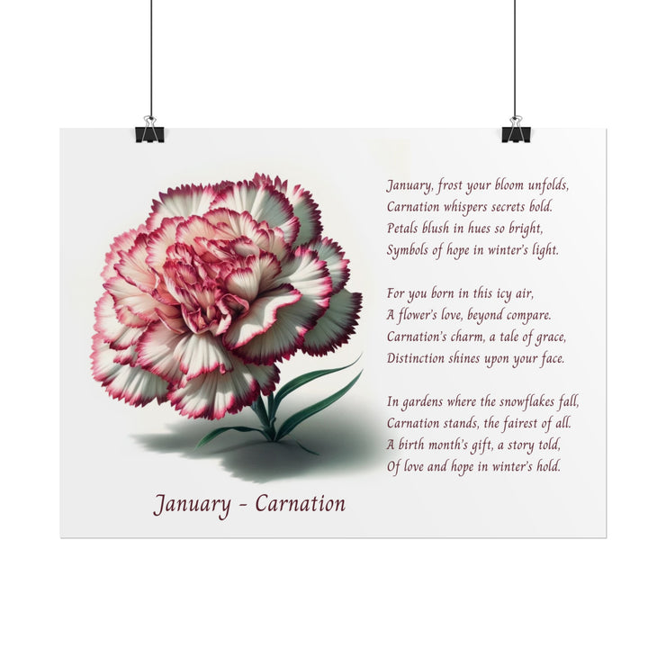 " January Carnation Canvas " A Floral Celebration with Poem.