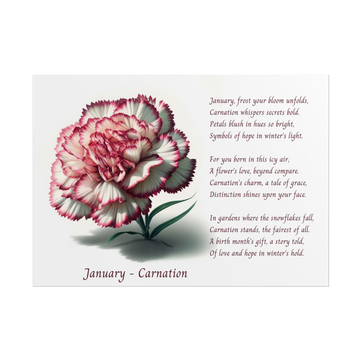 " January Carnation Canvas " A Floral Celebration with Poem.