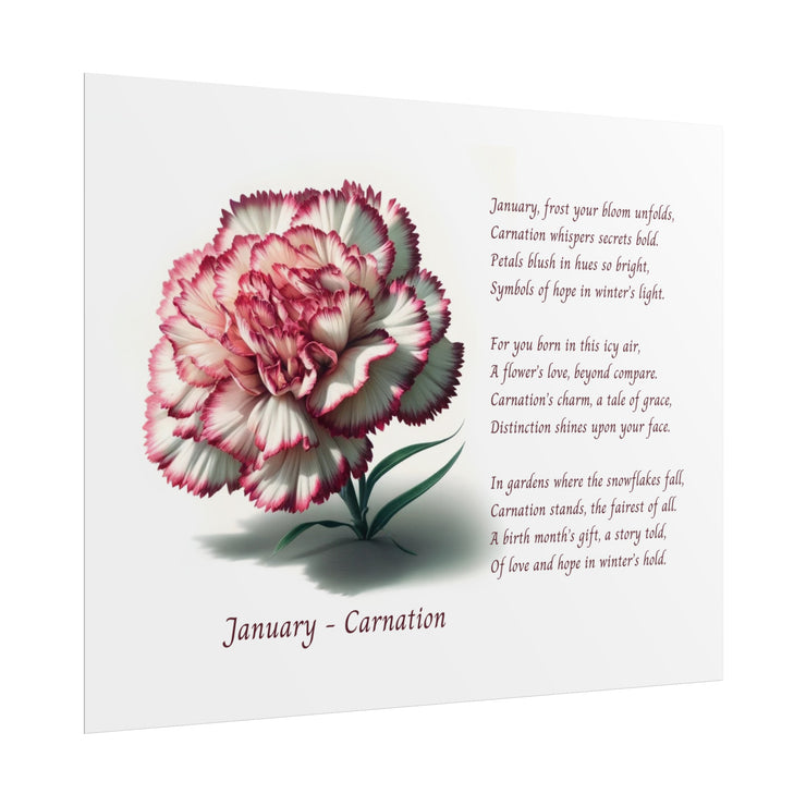 " January Carnation Canvas " A Floral Celebration with Poem.