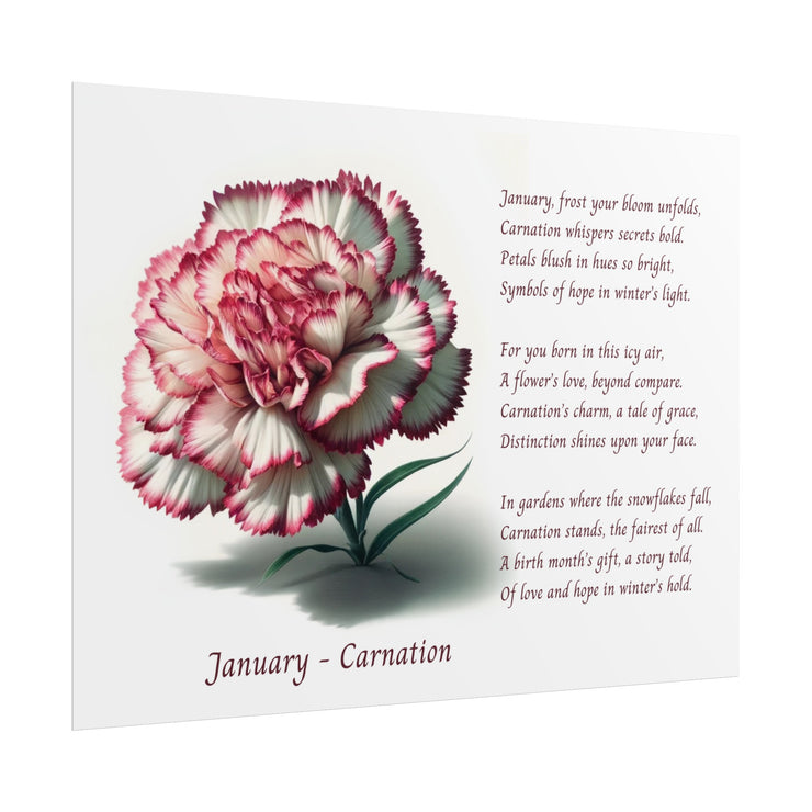 " January Carnation Canvas " A Floral Celebration with Poem.