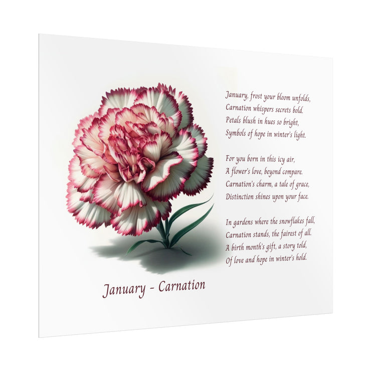 " January Carnation Canvas " A Floral Celebration with Poem.