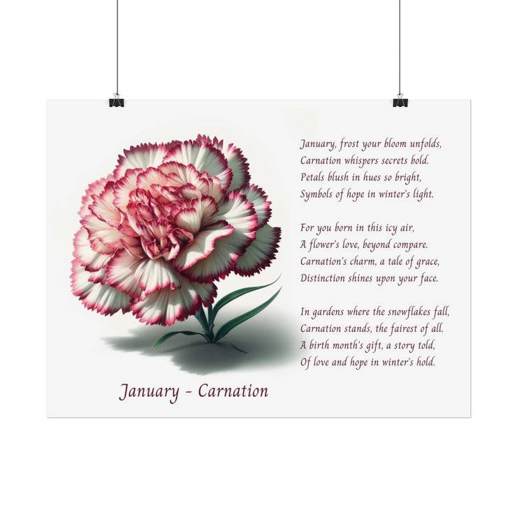 " January Carnation Canvas " A Floral Celebration with Poem.