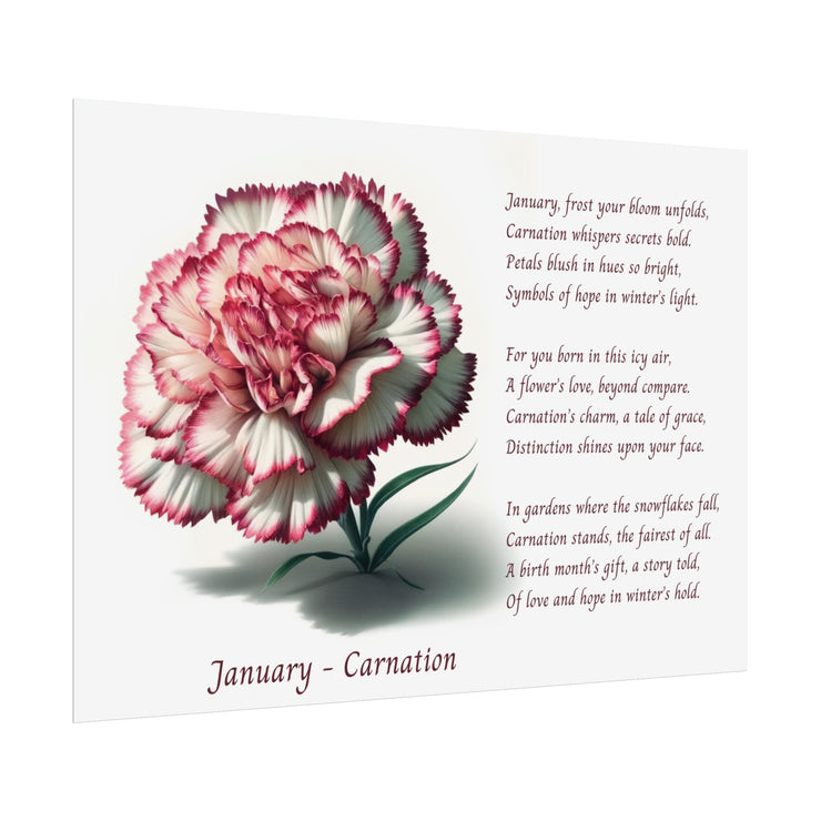 " January Carnation Canvas " A Floral Celebration with Poem.