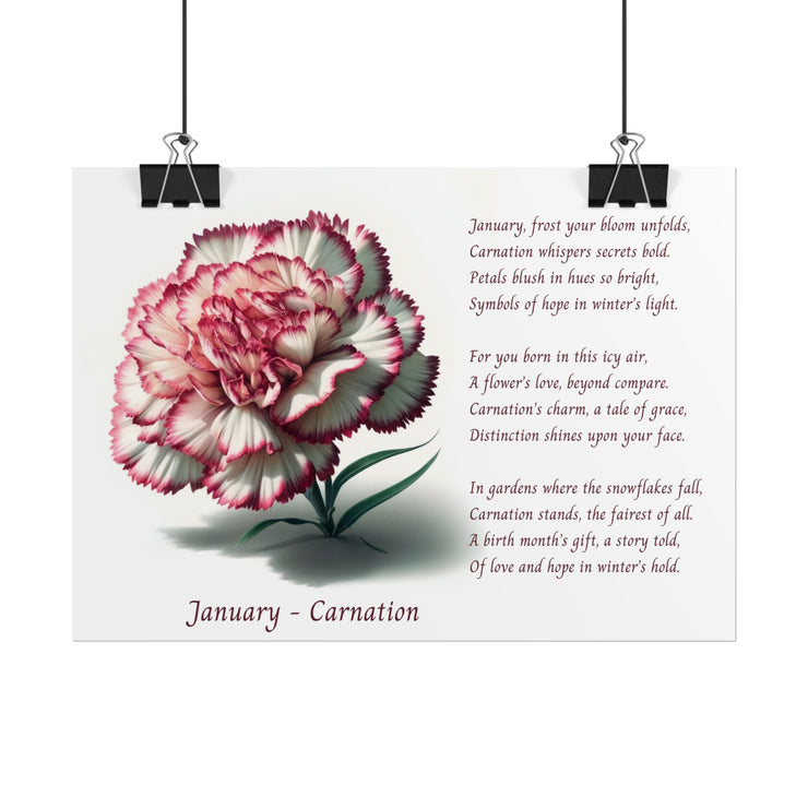 " January Carnation Canvas " A Floral Celebration with Poem.