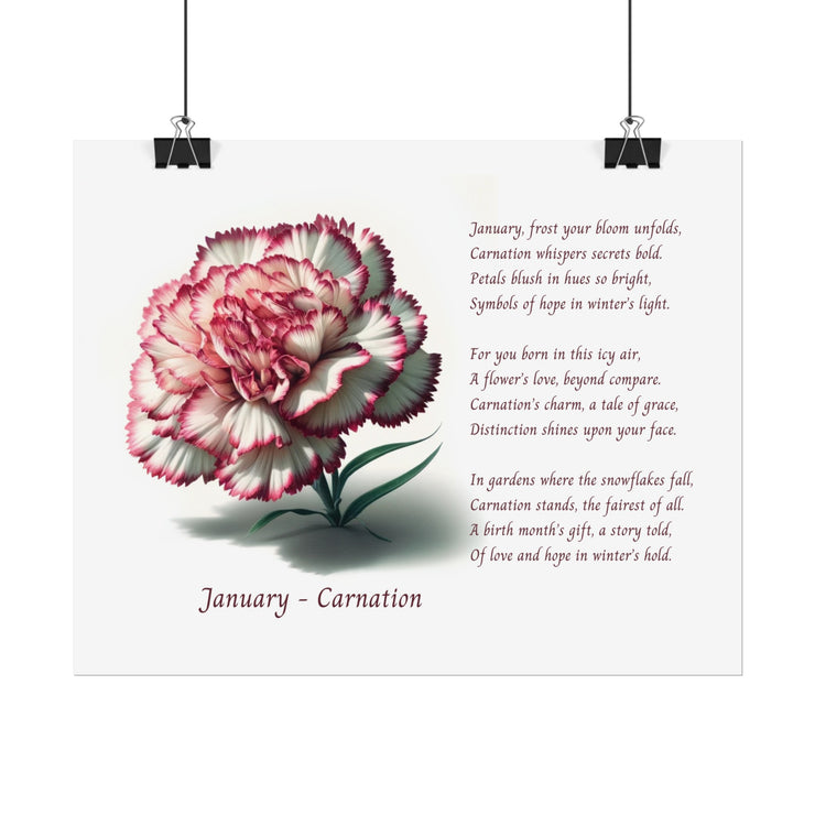 " January Carnation Canvas " A Floral Celebration with Poem.